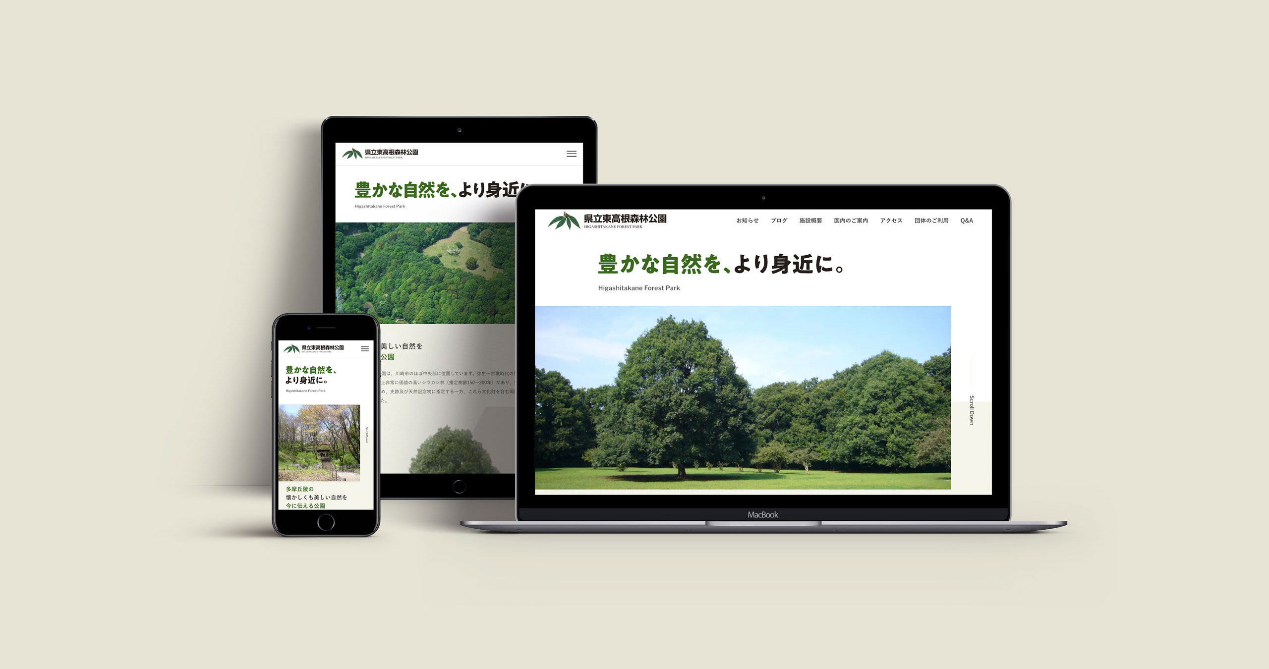 県立東高根森林公園